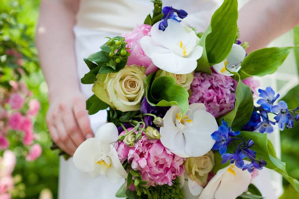 Vibrant summer flowers