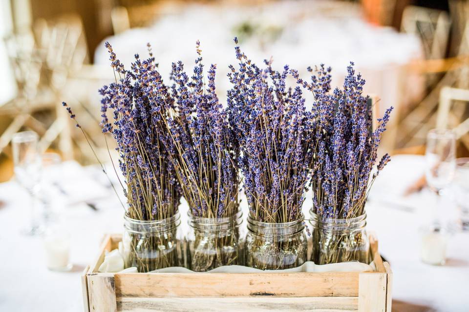 Lavenders