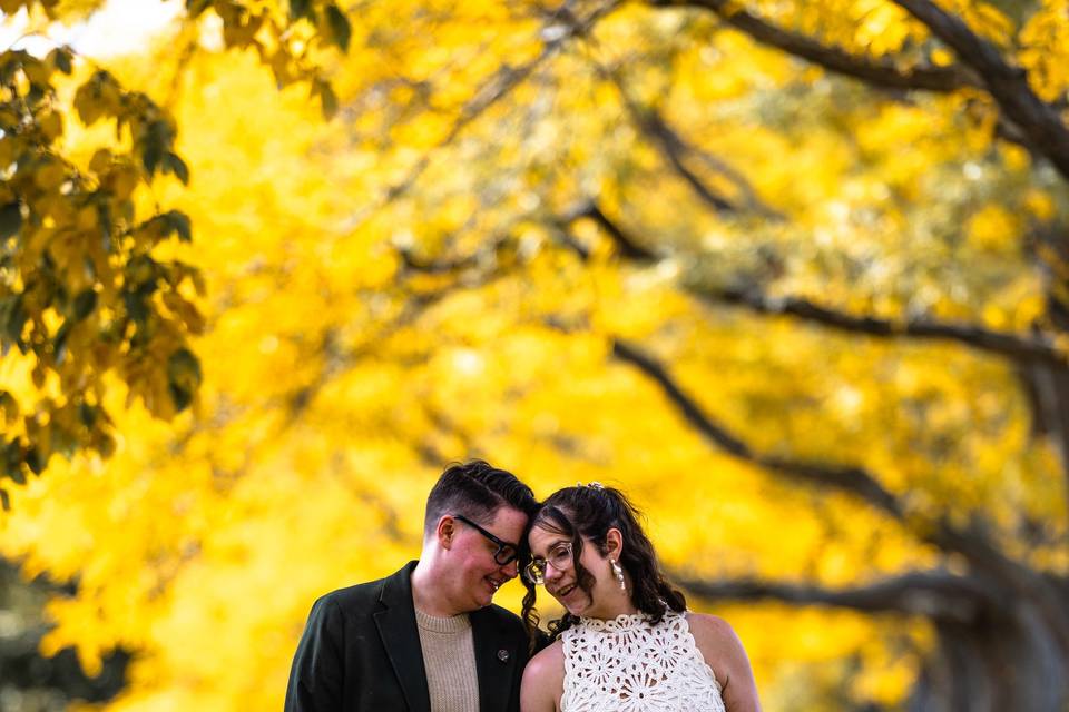 Boston Elopement