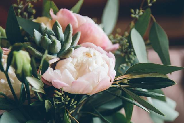 Chloe Murdoch Photography
