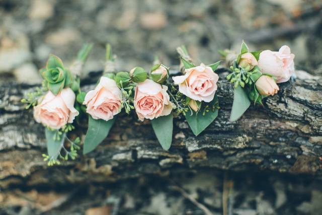 Chloe Murdoch Photography