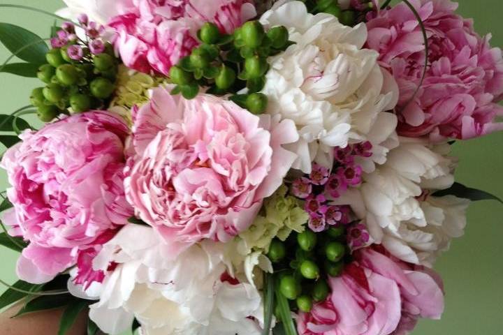 Pink carnations