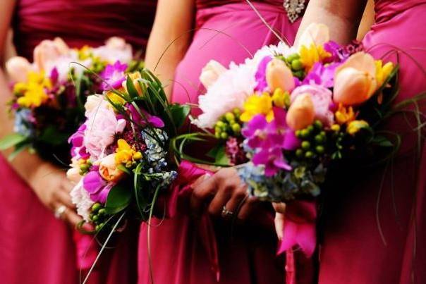 Pink carnations