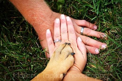 Mallory Taglia Photography