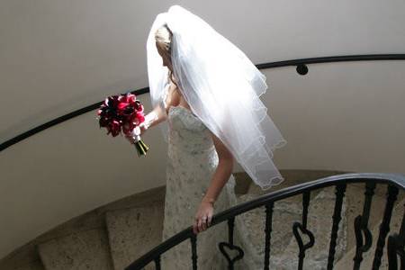 Bridal portrait