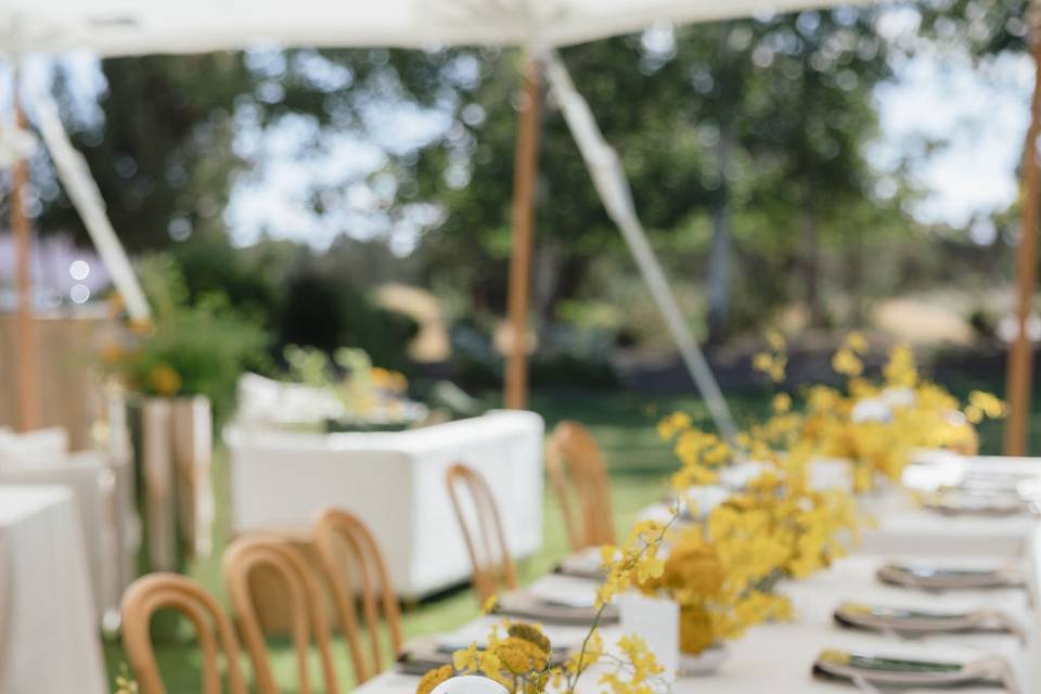 Luxe Event Productions