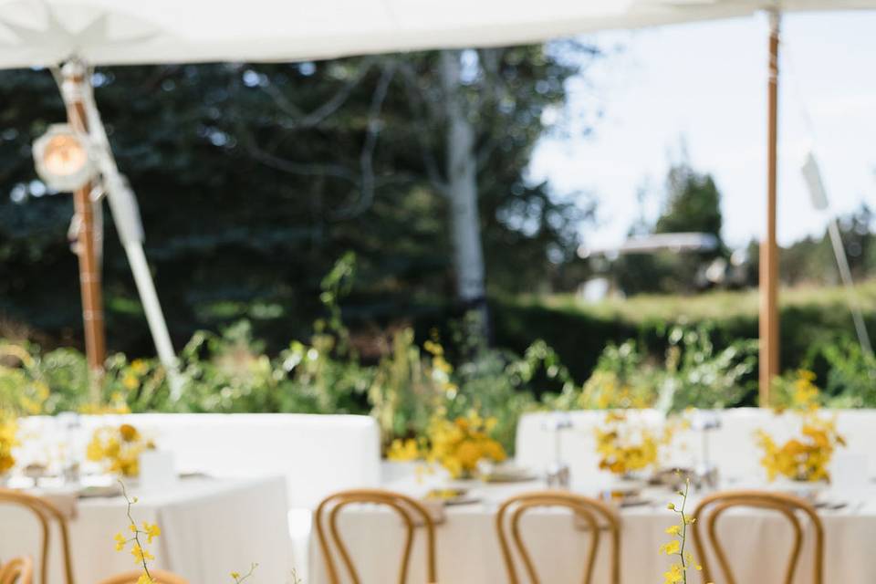 Luxe Event Productions