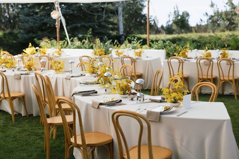 Luxe Event Productions