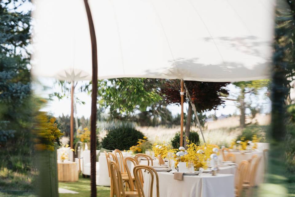 Luxe Event Productions
