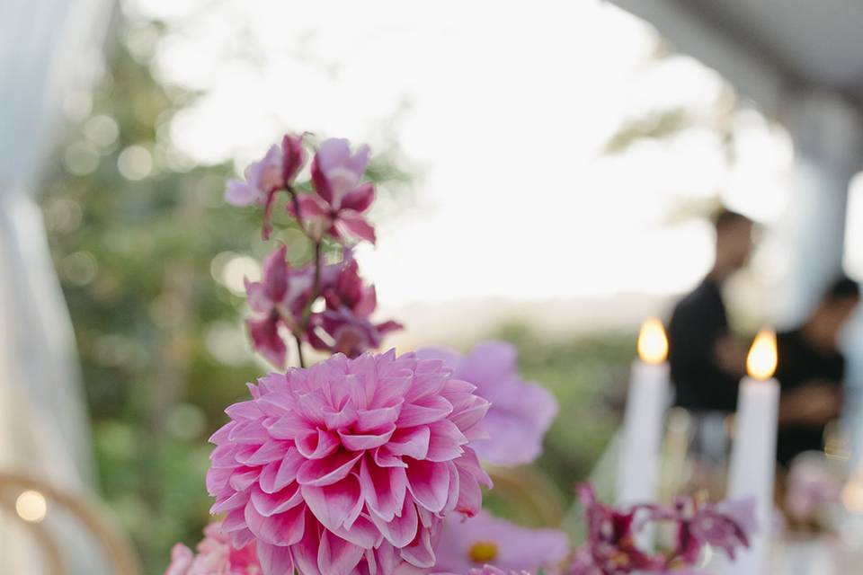 Luxe Event Productions