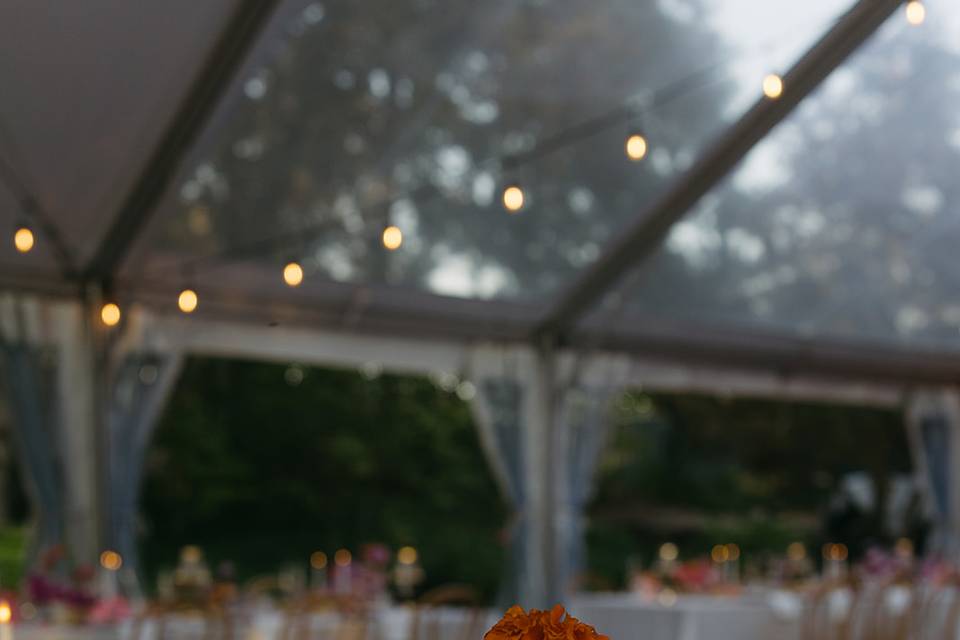 Luxe Event Productions