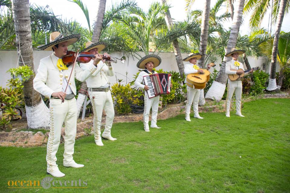 Mariachi