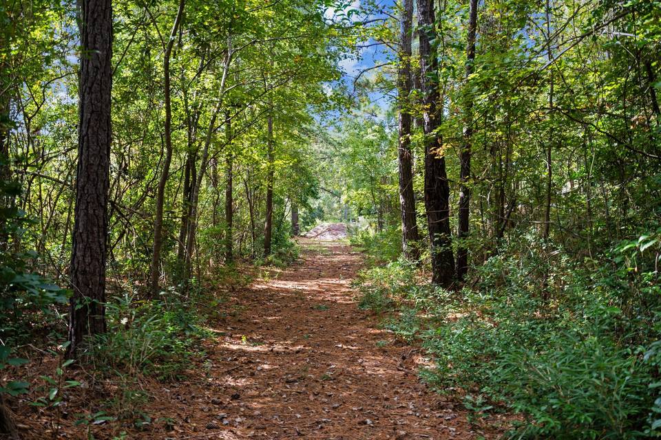 Nature trail