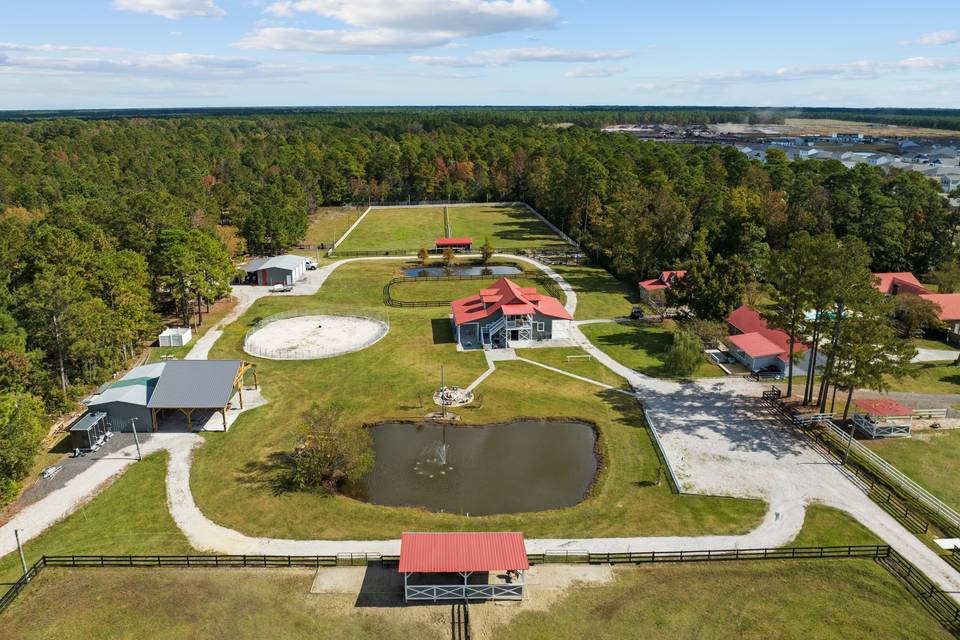 Sky view