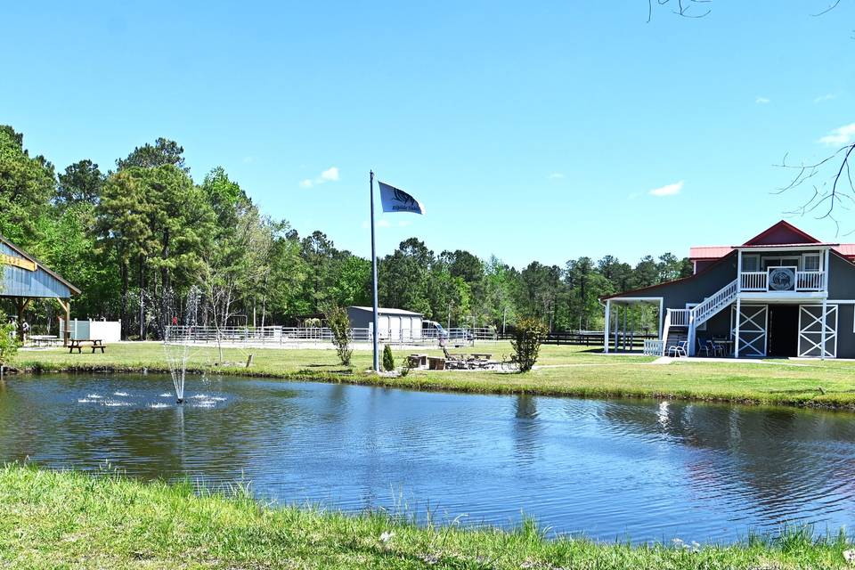 View from pond