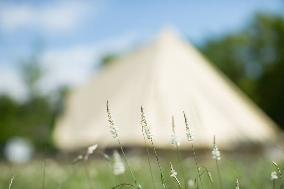 Nightfall Glamping