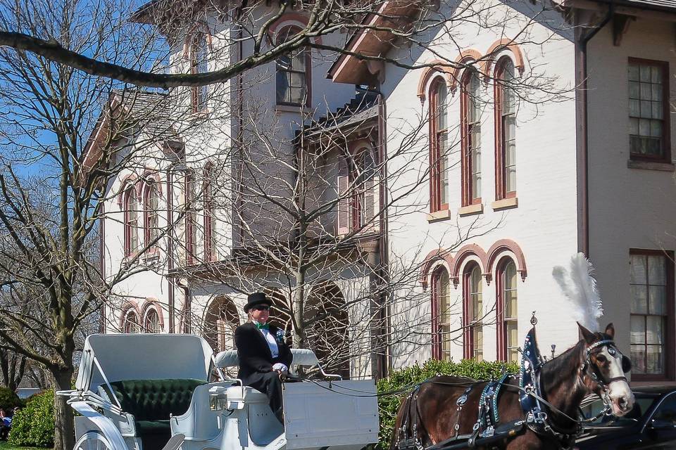 Horse & Carriage at Mansion
