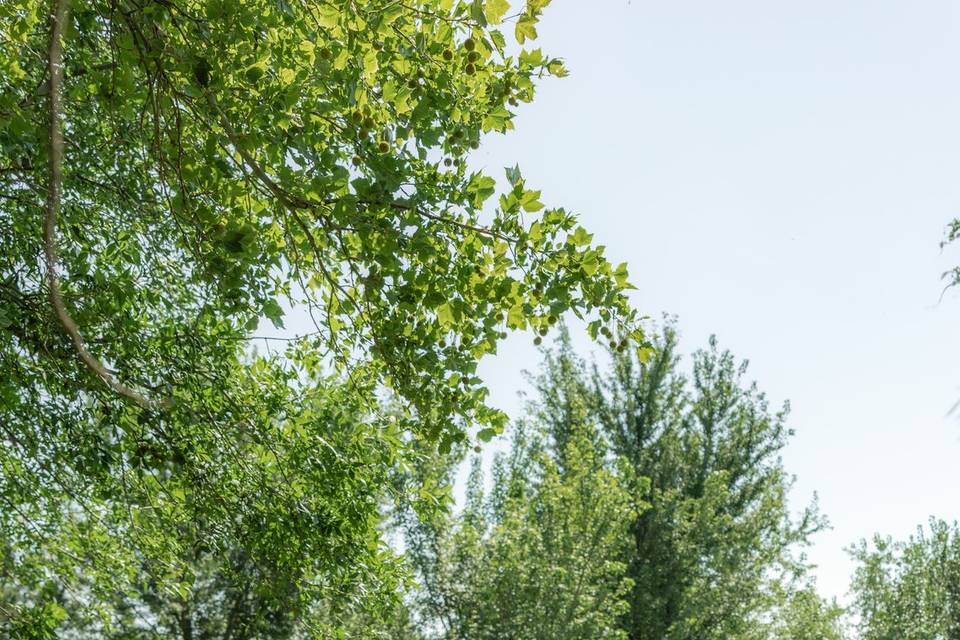 Boise, Idaho