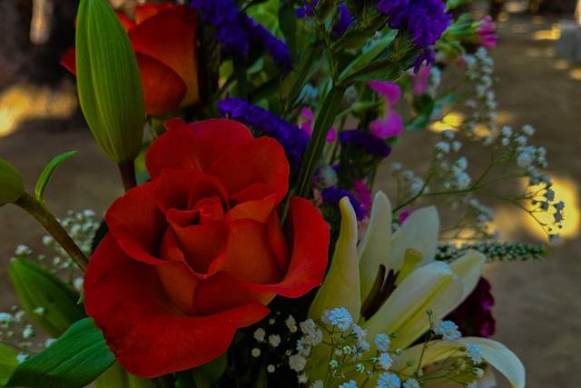 20240517_165328_Original.JPG