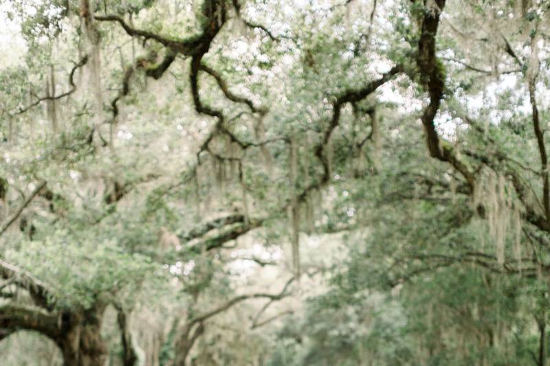 Gay Wedding in Charleston