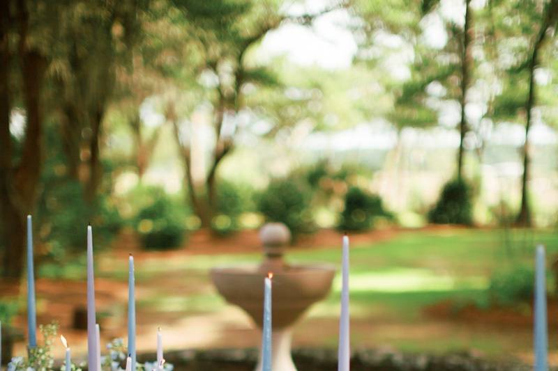 Charleston Outdoor Wedding