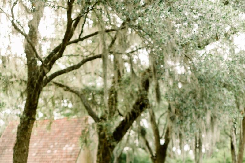 RiverOaks Charleston Wedding