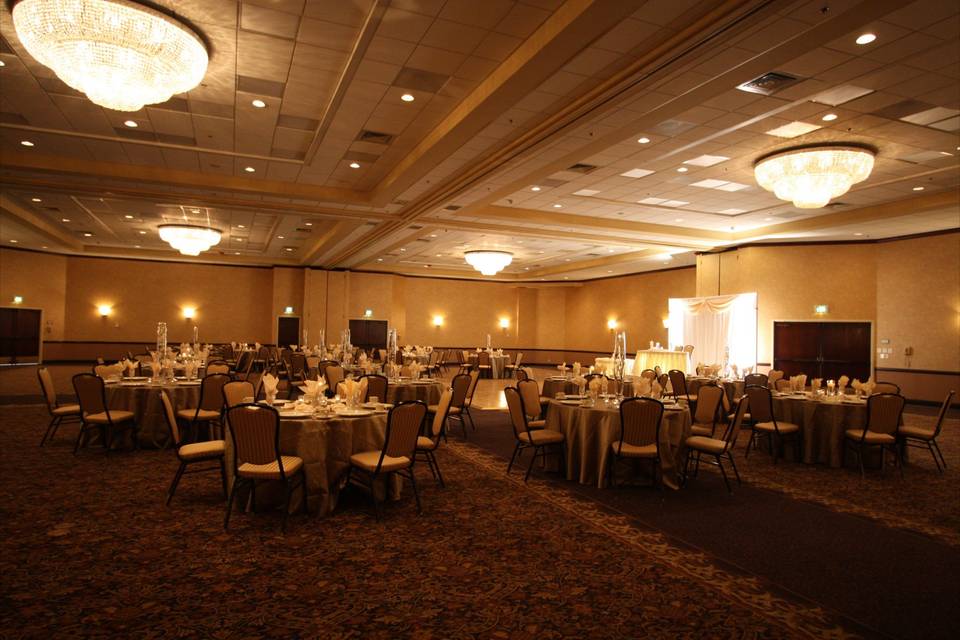 Go for a soft glow in our large ballroom to really set the mood for an excellent celebration!