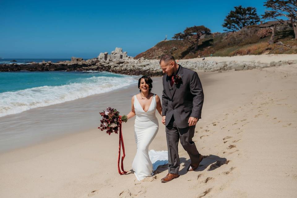 Carmel River State Beach