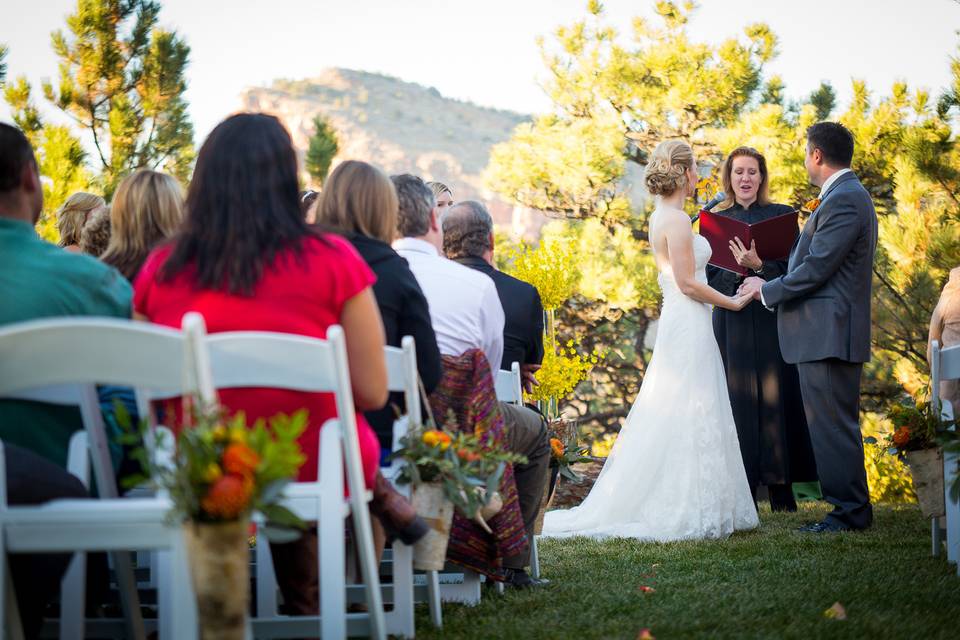 Picture Perfect Weddings