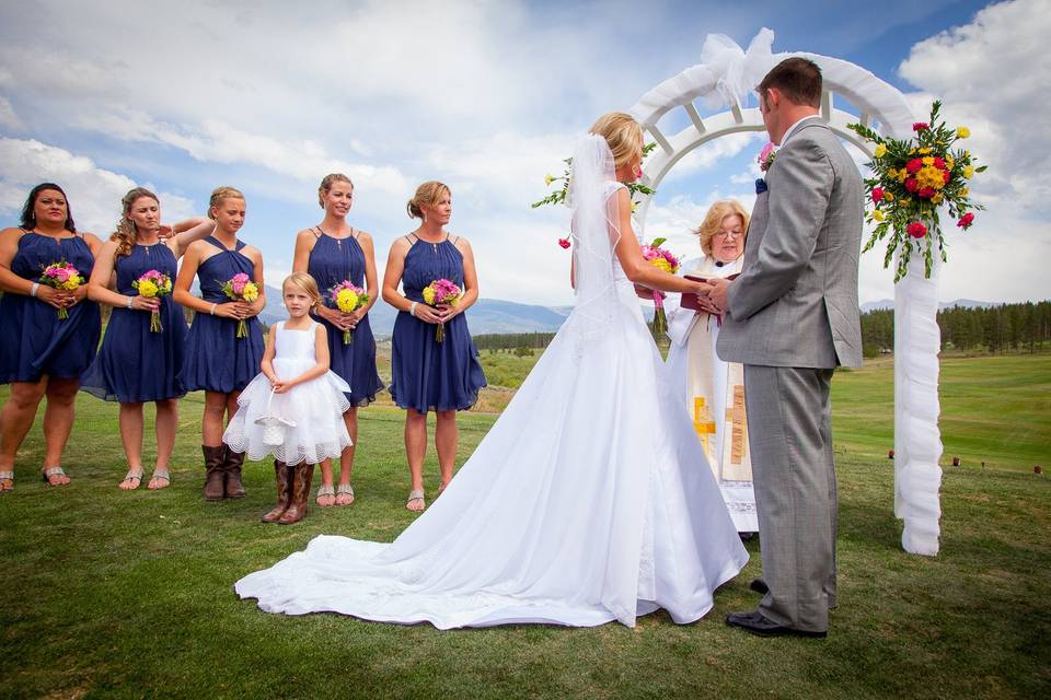 Picture Perfect Weddings