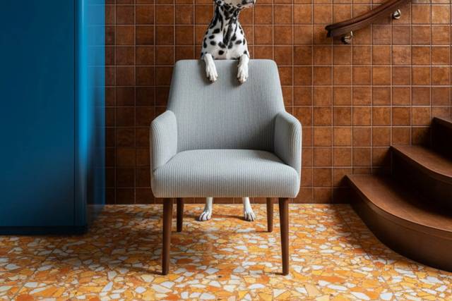 FIVE STAR PET SITTING AND CONCIERGE