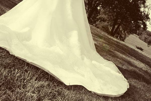 Adamson Photography