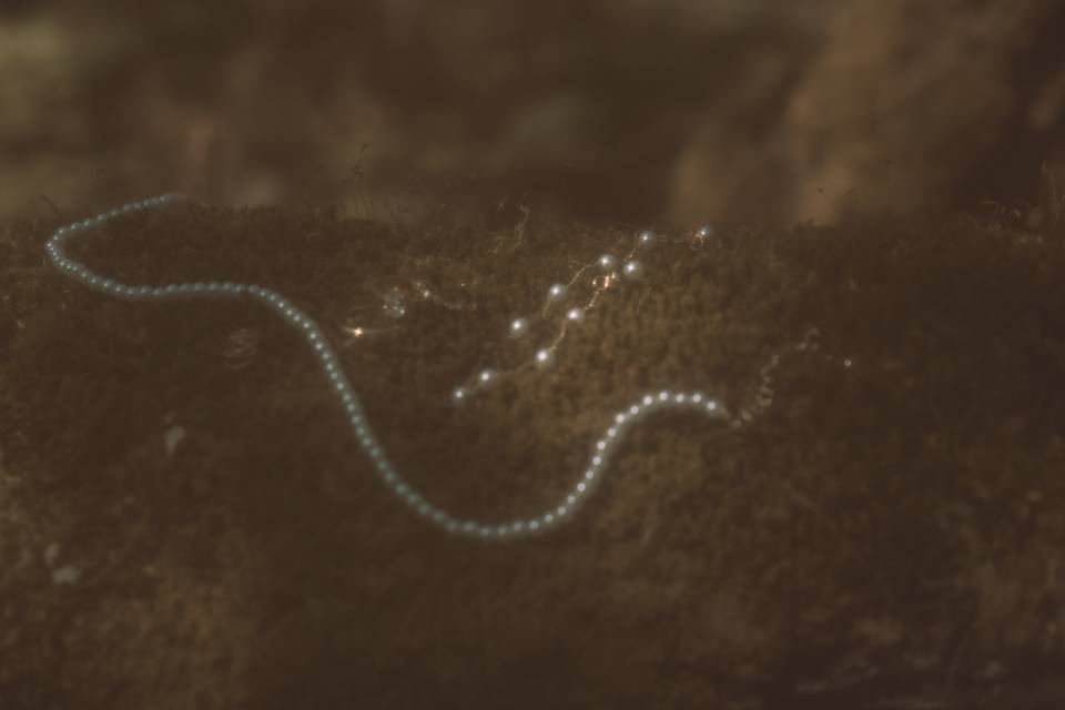 Jewelry Detail