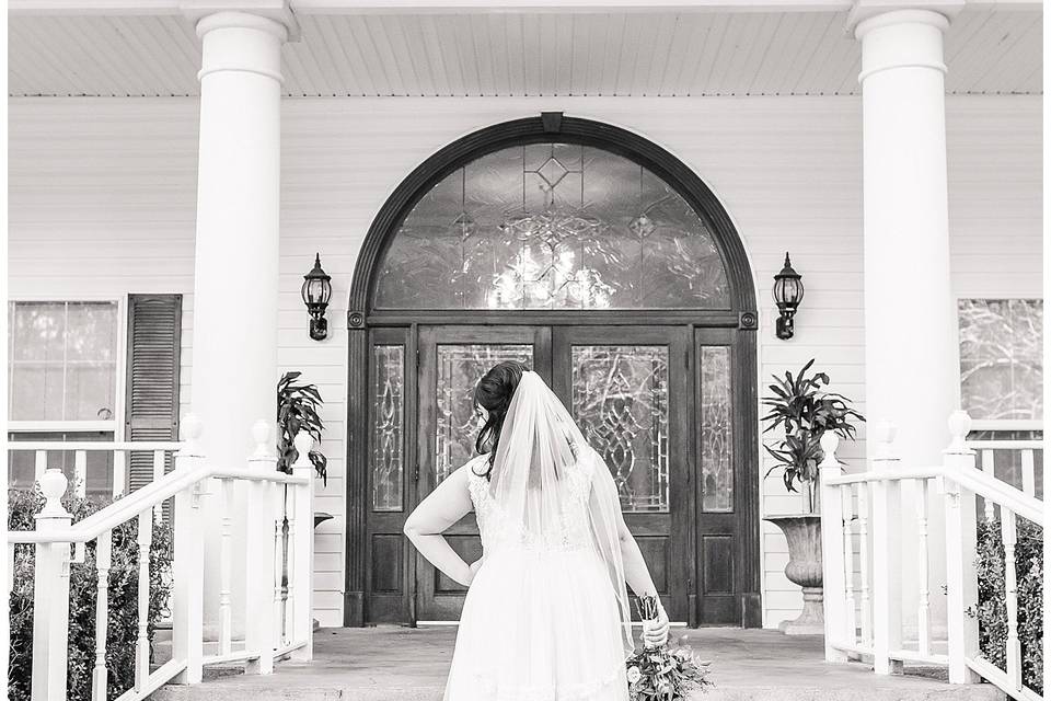 Bridal portrait