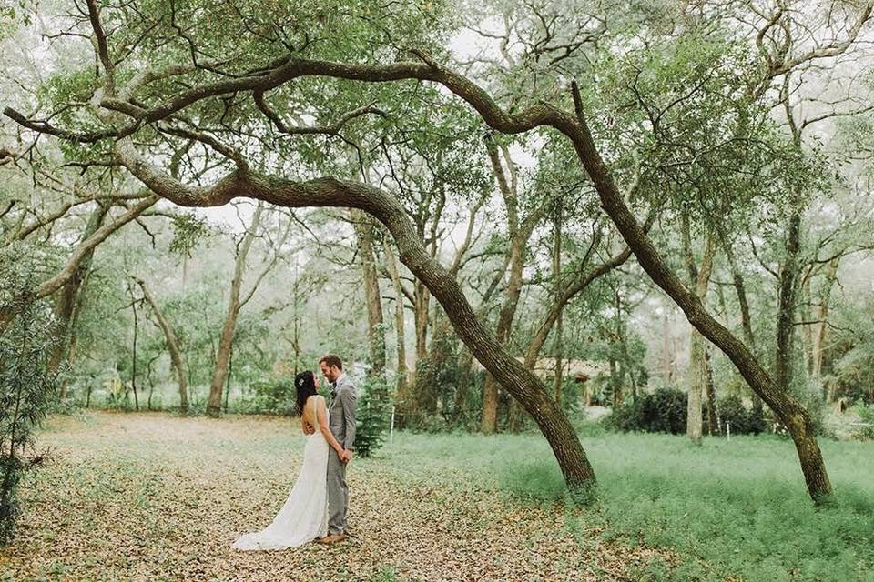 Harmony Gardens Tropical Wedding Garden