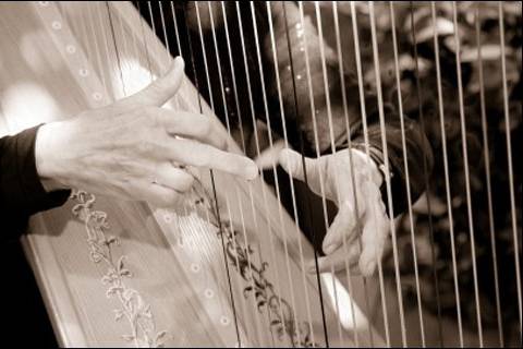 Bonnie Mitchell  Harpist/Pianist