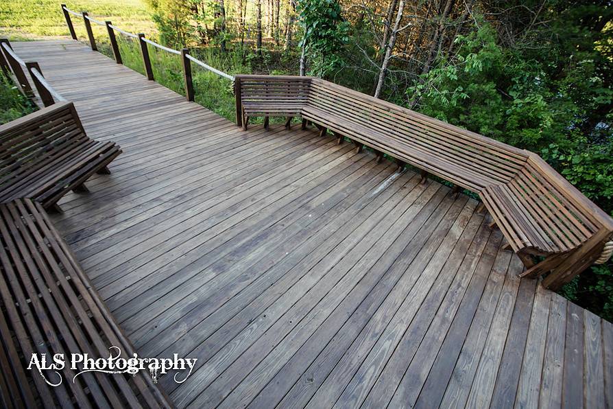 Wooden pathway