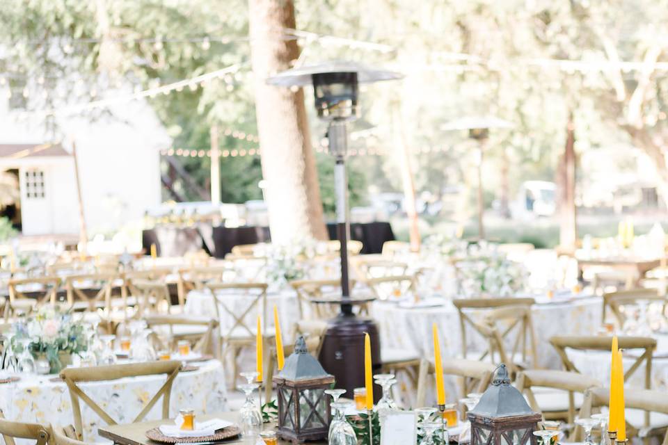 Outdoor Reception