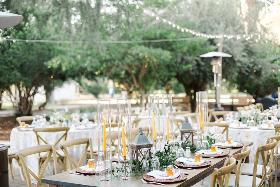 Outdoor Reception