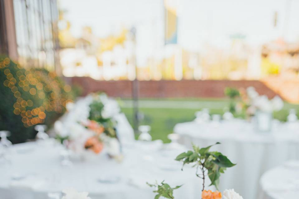 Outdoor Reception