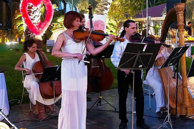 Wedding with strings and harp