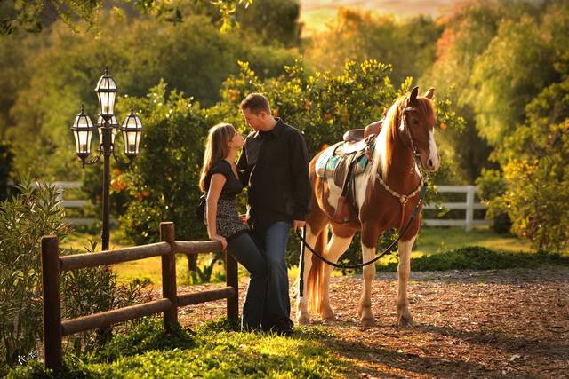 RK Green  Wine Country Studio