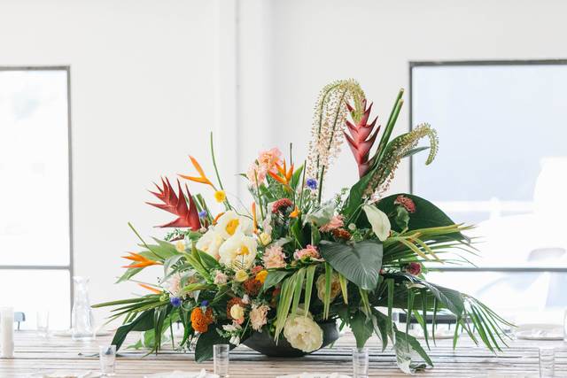 Selva Floral
