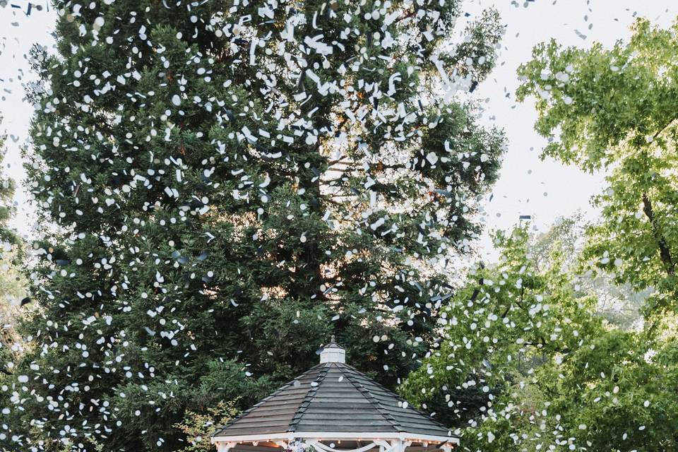 Wedding ceremony