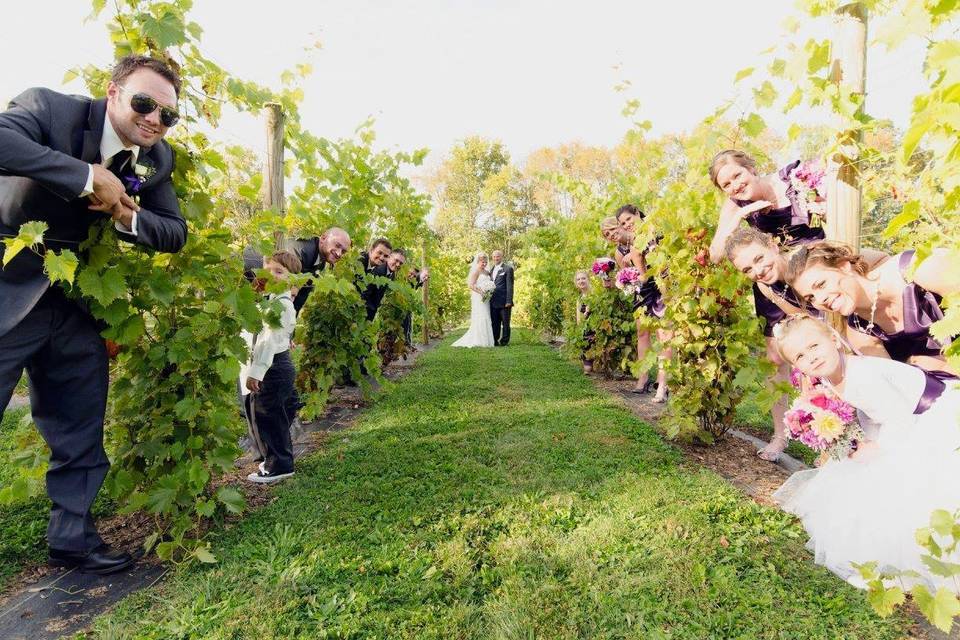 Bridal party in the Vineyard