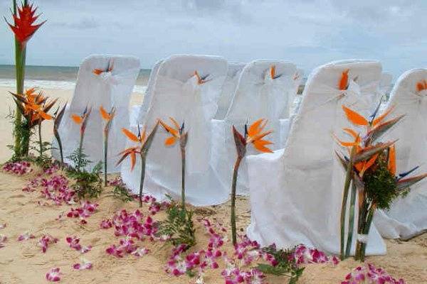 Seaside Ceremony