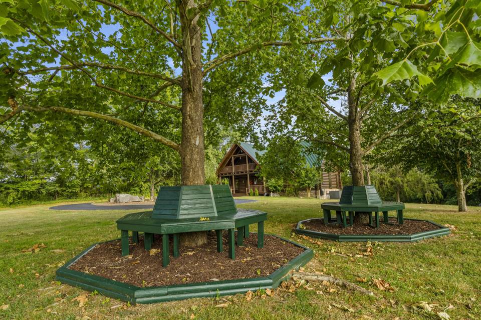 'Round the tree benches