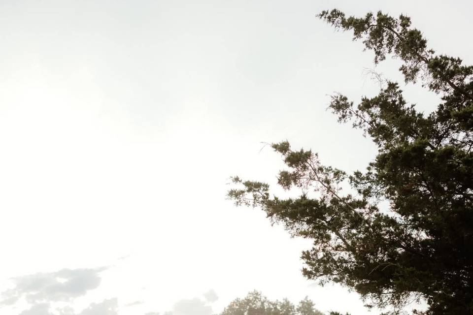 Misty hilltop view