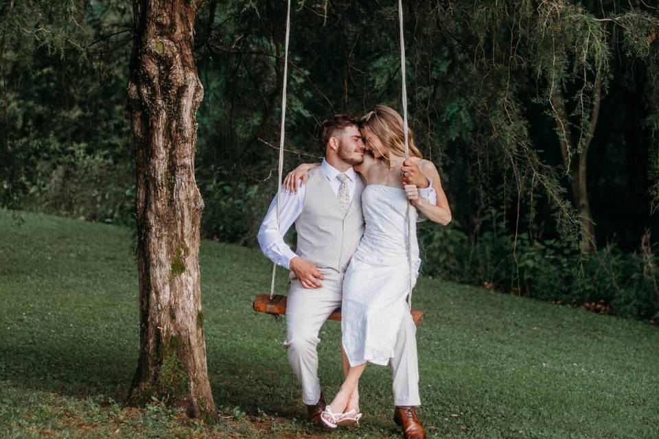 Evergreen tree swing