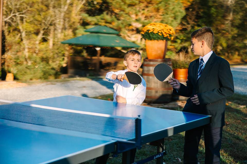 Ping pong fun
